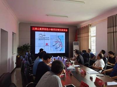 三清山康養特色小鎮項目策劃座談會順利召開，共謀旅游開發新篇章